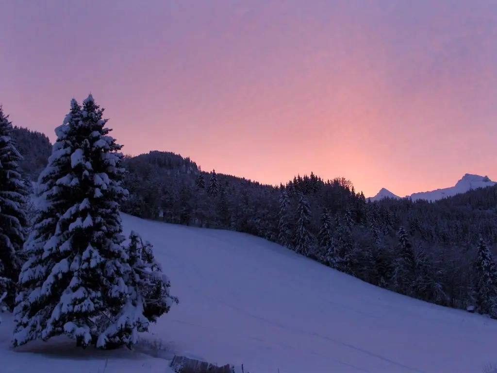 Chalets Aravis