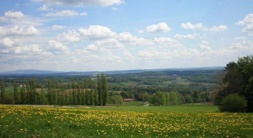 Wiesenbauer - Schlögl Anton