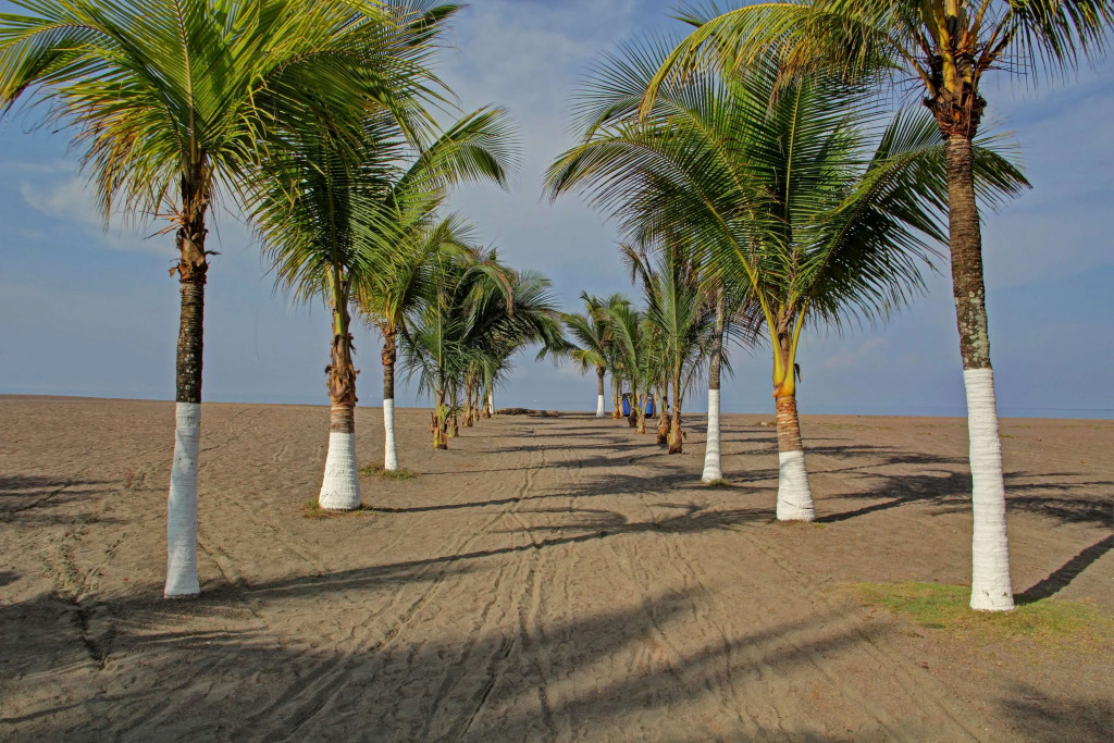 Best Western Jaco Beach All-Inclusive Resort