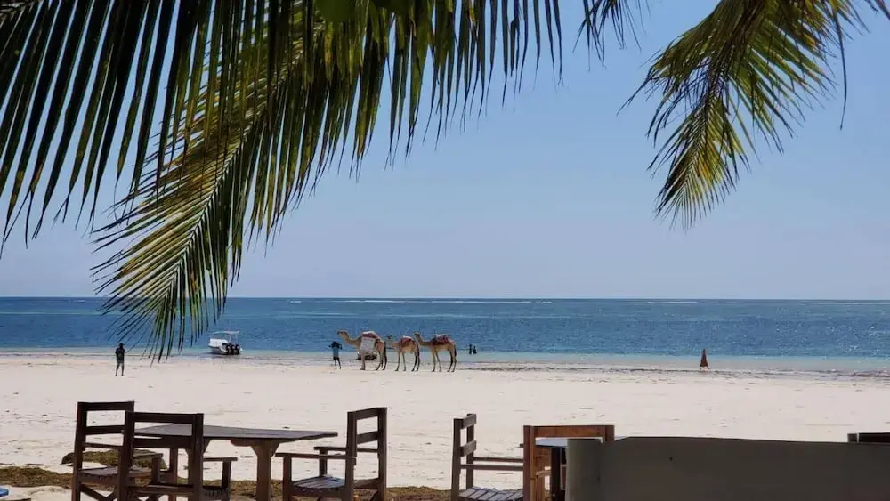 Diani Beach 5 Bedroom Dream House