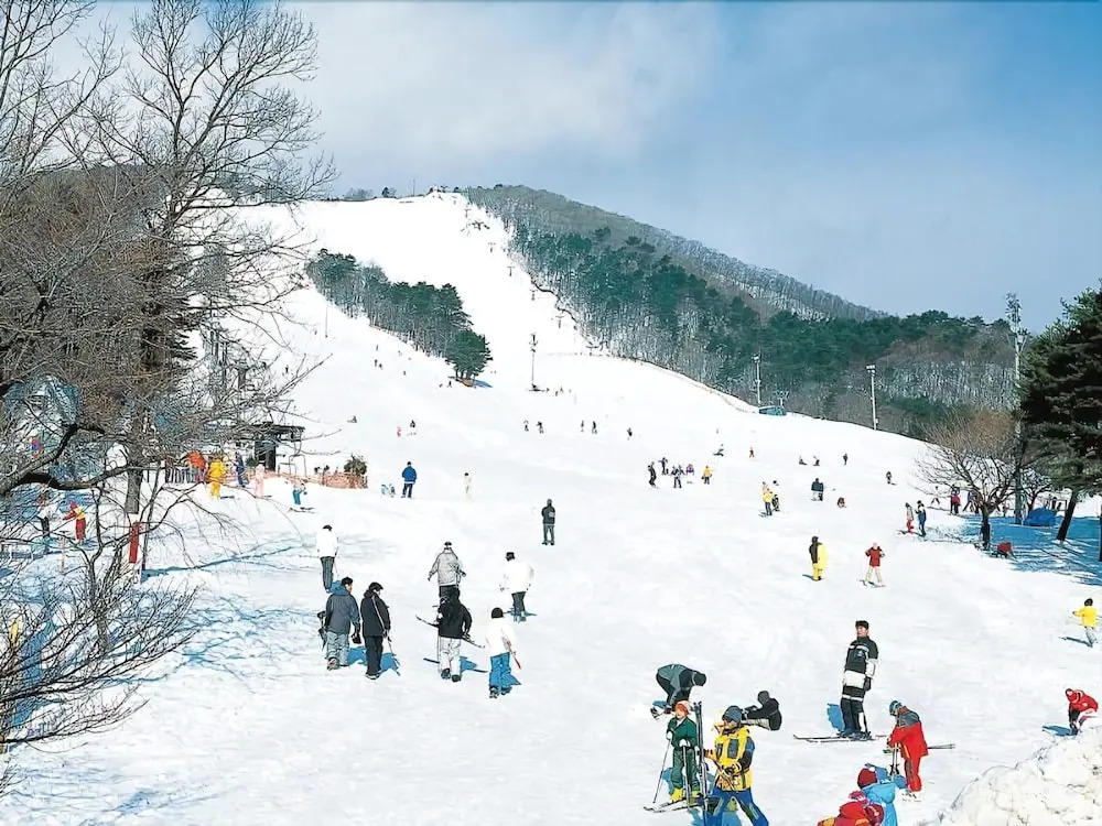 Com´s Sendai