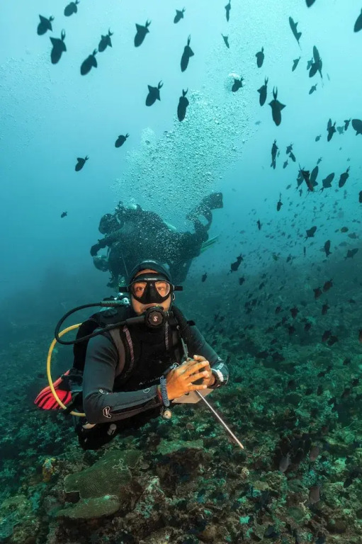 Casalay Boutique Villas & Dive