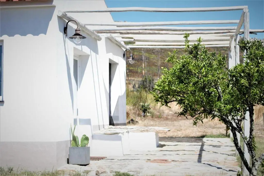 Alegria rustica