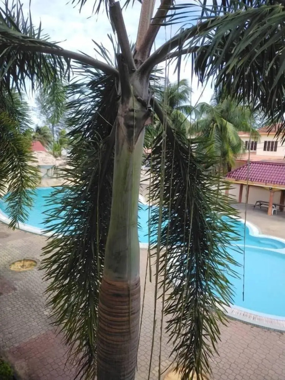 Seri Indah Resort SDN BHD