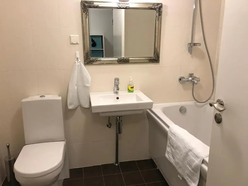 Roseni City Apartment