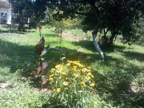 Guest House Kashtak
