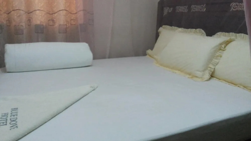 Blue Dove Hotel Arua