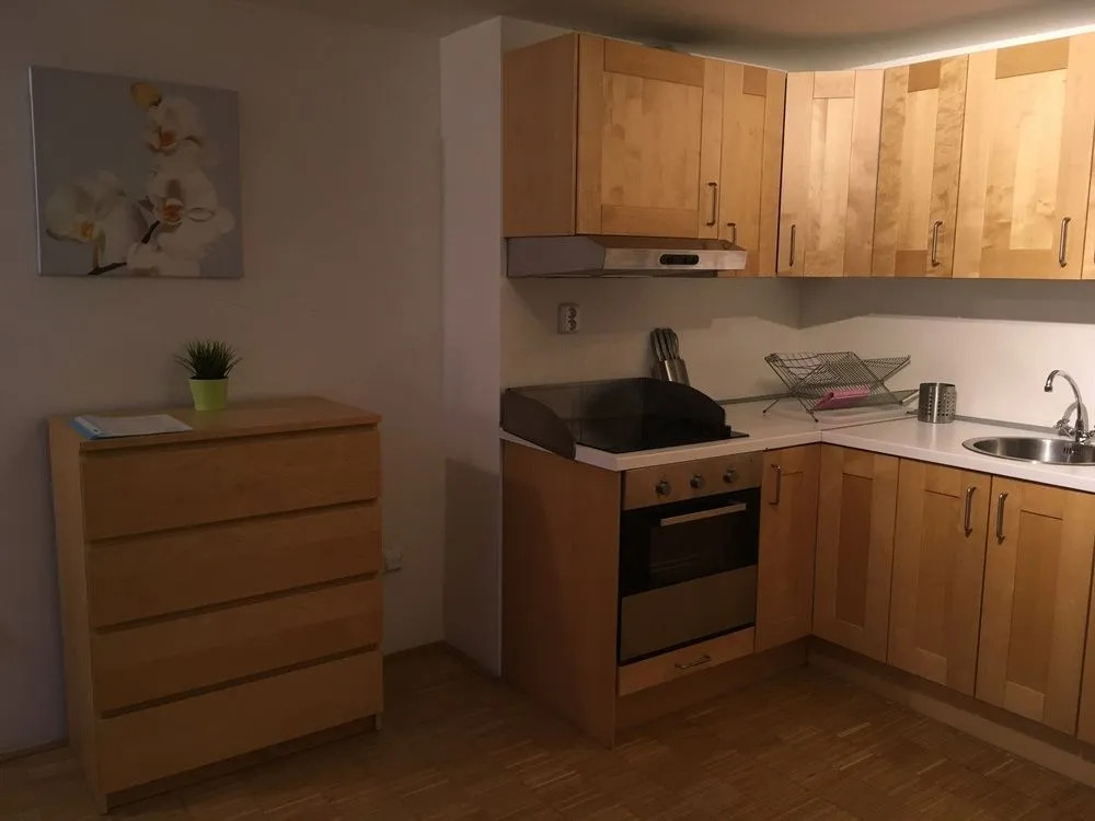 Cosy apartment right after the National Museum