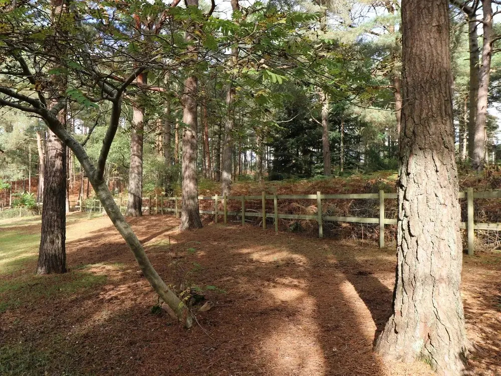 The Chalet