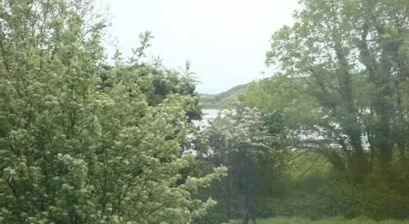 Knockmoy House B&B