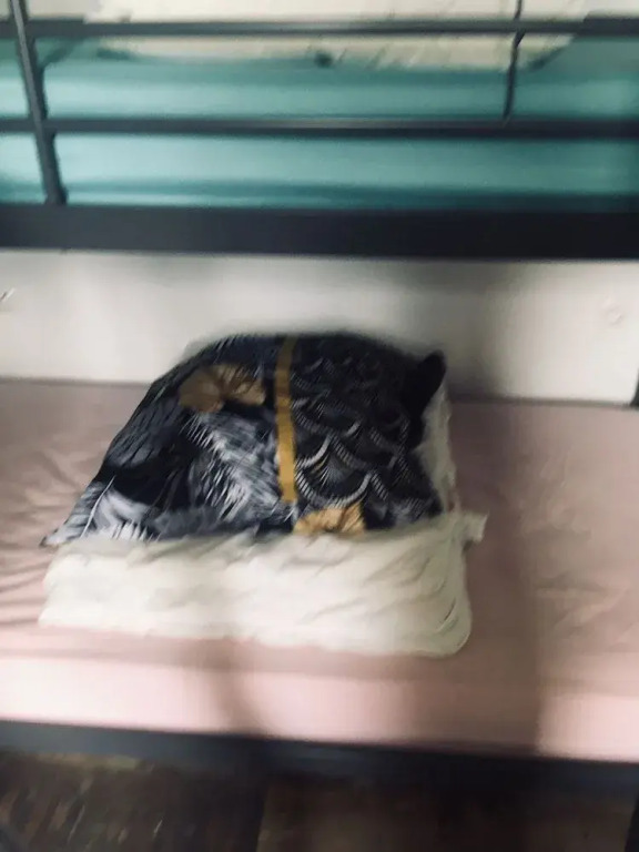 Roomate Stains