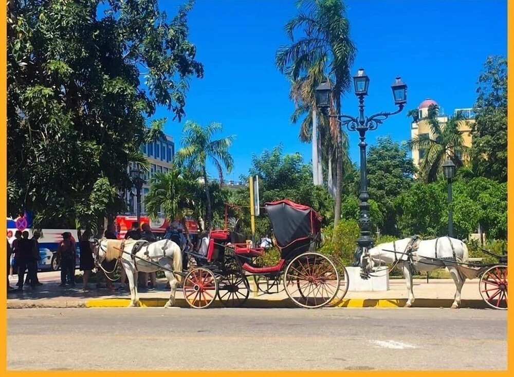 B&B Los Bertos