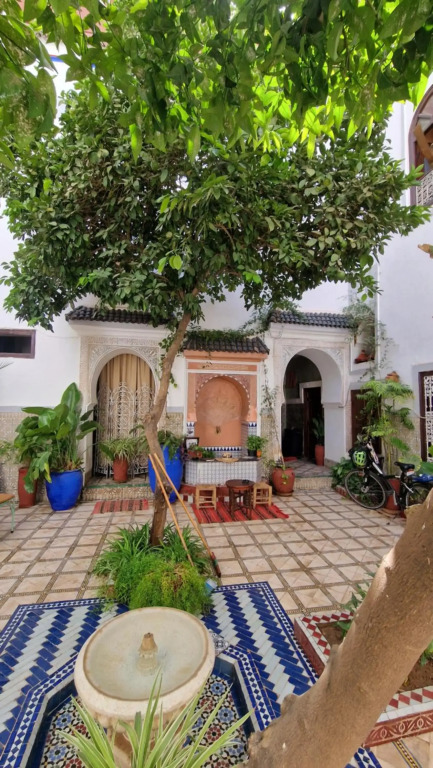 Riad Dalia