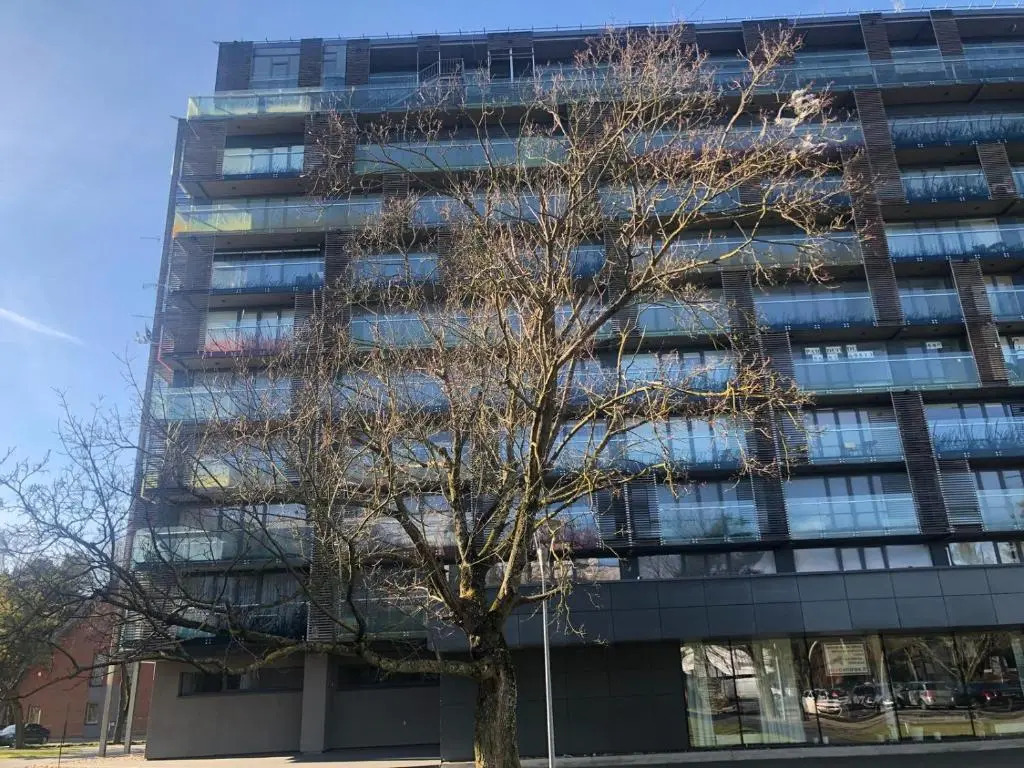 apartmentspalanga No. 2