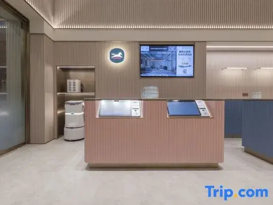 HanTing Hotel (Wuhu High-Speed Railway Station Wanyuecheng)