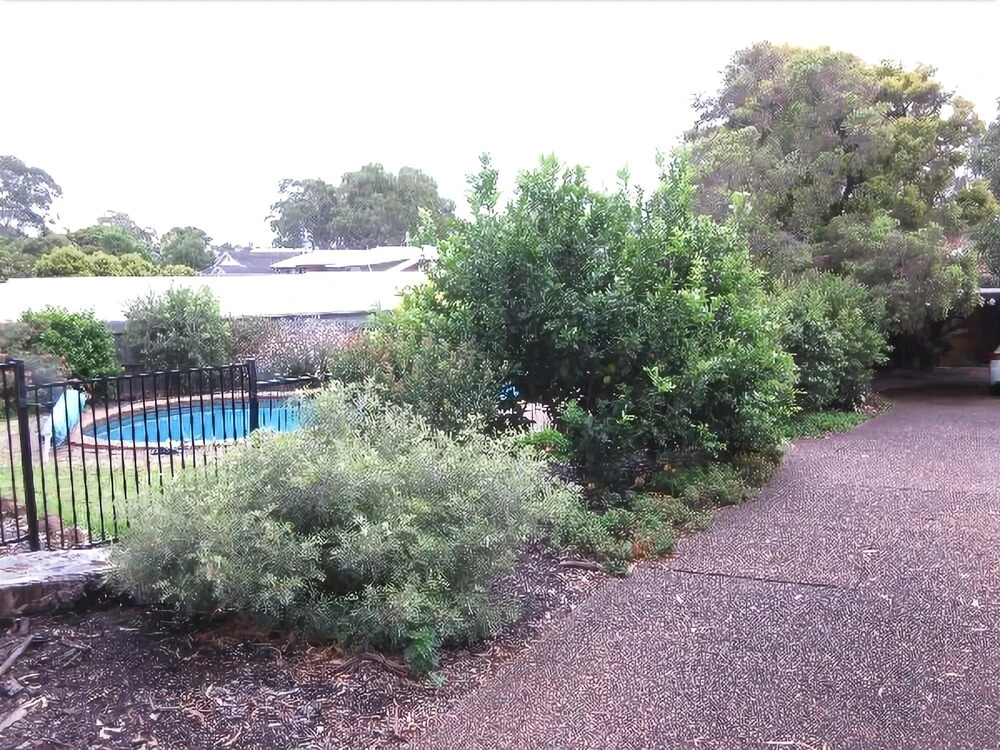 Wemberley LakeHouse