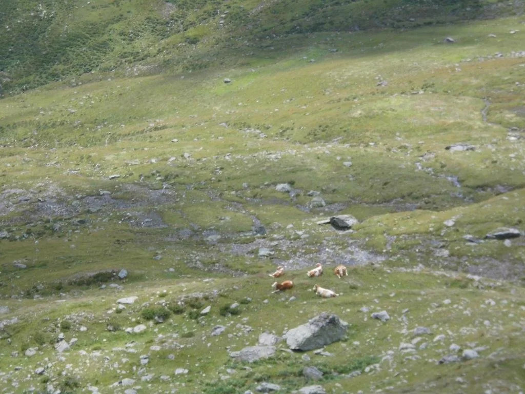 Obergarberhof