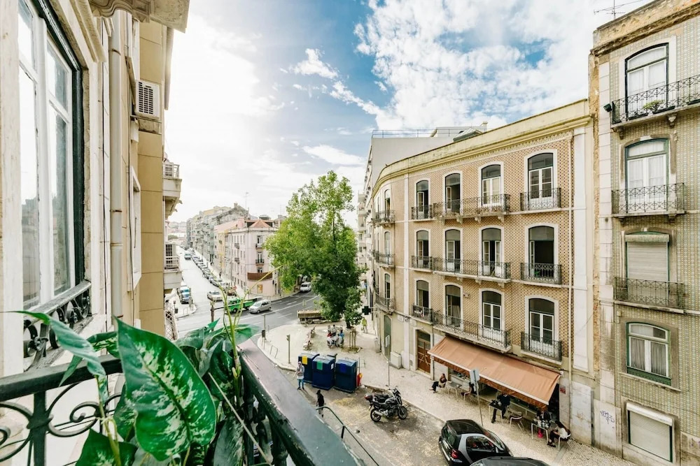 The Palm Leaf SOC in Lisboa Ciudad