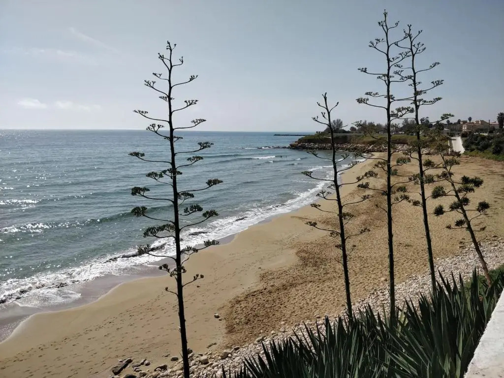 Villa Mare Pantenello, 80 metri dalla Spiaggia