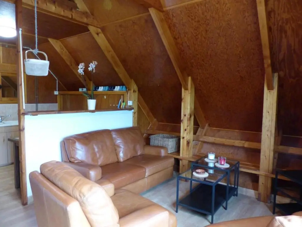 Chalet familial à 10 min de Vichy avec animaux acceptés - FR-1-489-274