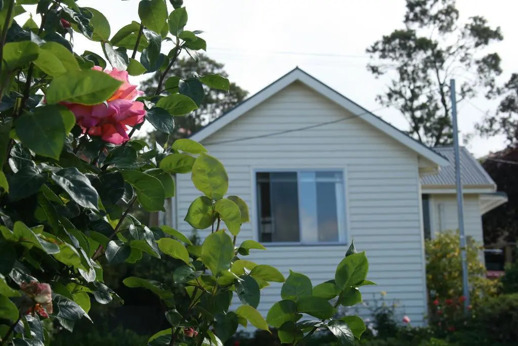 Trevallyn House B & B