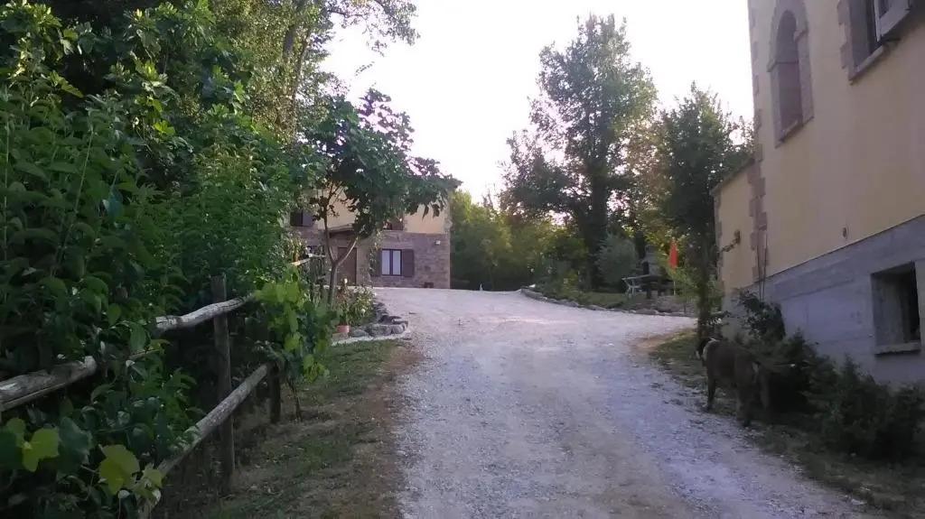Il Gelso Rosso