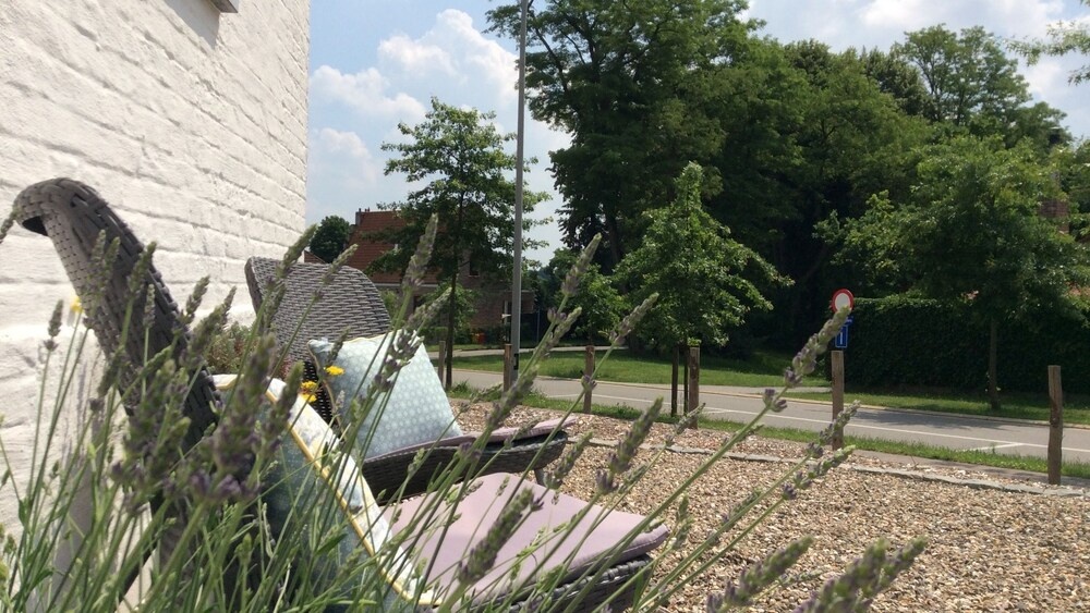 B&B Eikenlaan 12