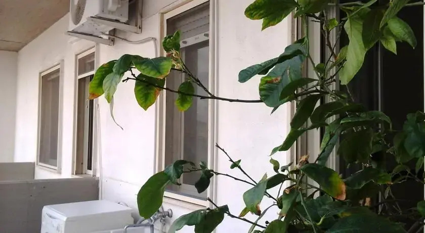 Casa Manu