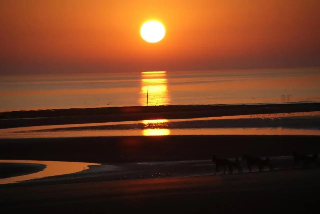 Utah Beach