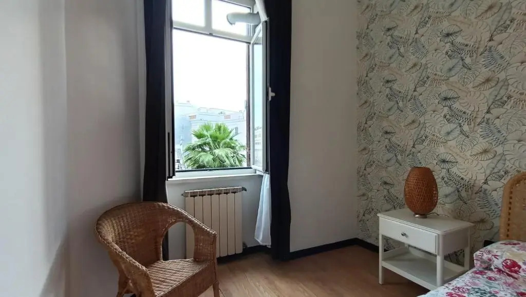 Colosseo Kokedama rooms