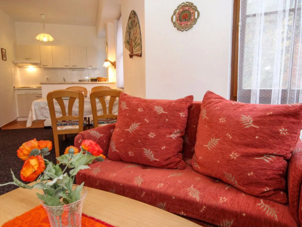 Apartment Lanovka Jachymov 25264