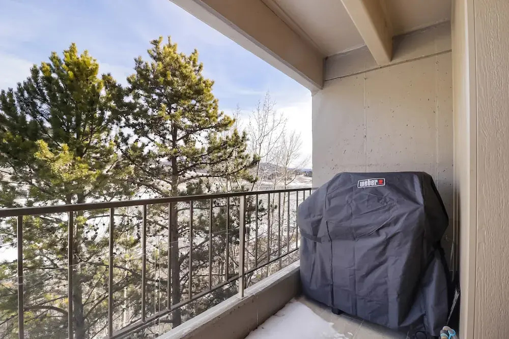 317 Lodge At Lake Dillon 1 Bedroom Condo