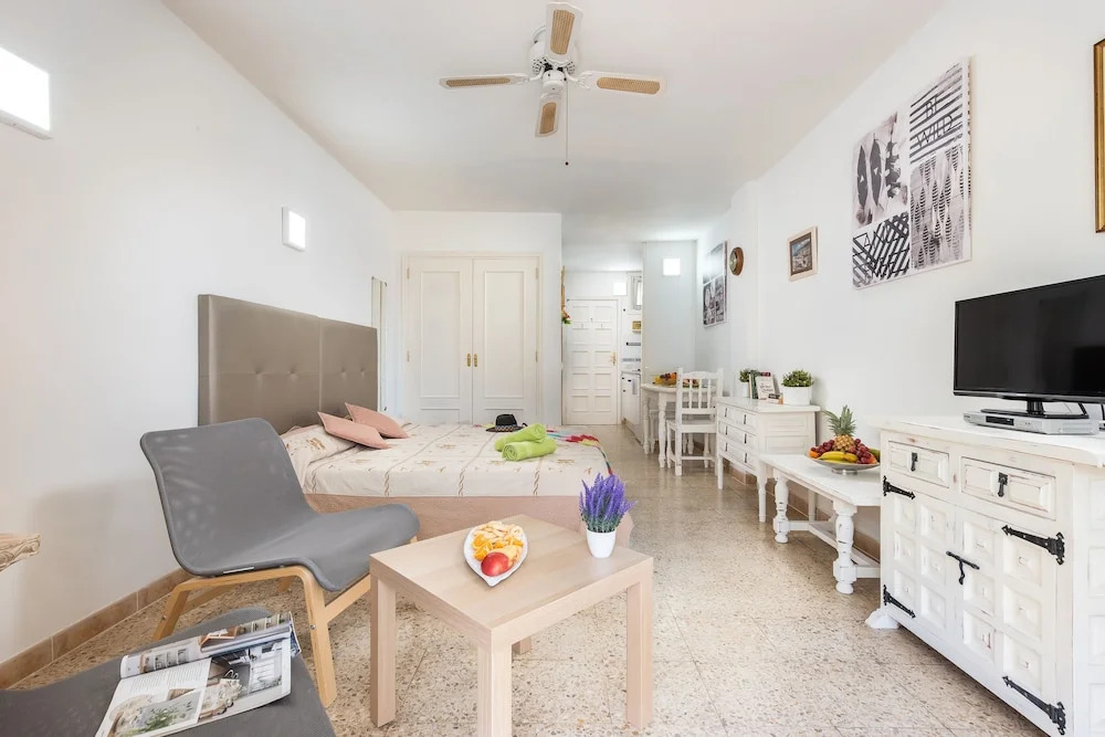 530 Big Studio with Terrace