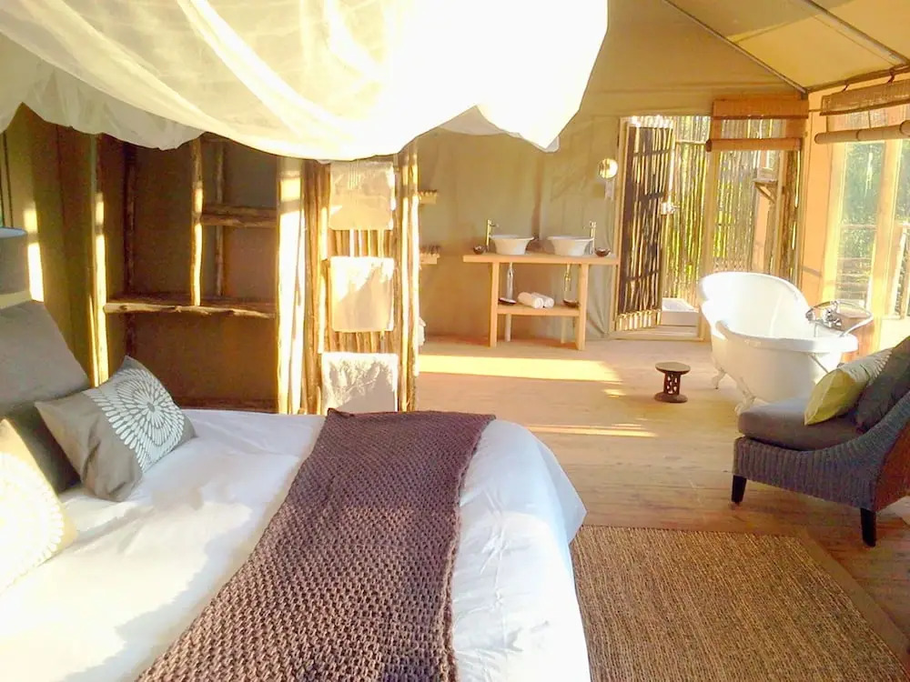 Miombo Safari