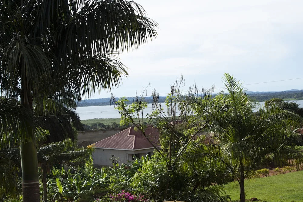 The Hive Guesthouse Entebbe