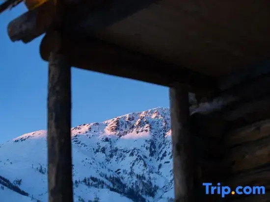 The homestay in the grass and wood fields(Sunset Platform Store)