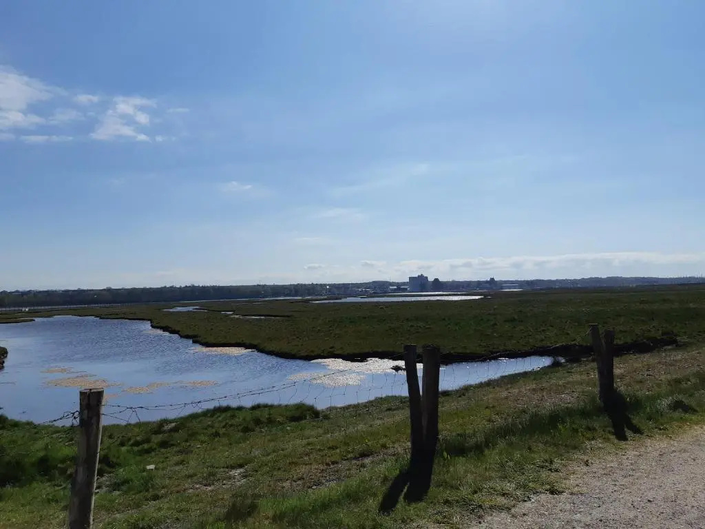 Ostsee Meerkieker Ferienwohnungen 1