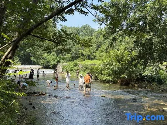 Yixing Oasis Waterfront Garden Homestay