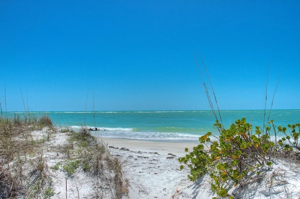 Sarasota 18