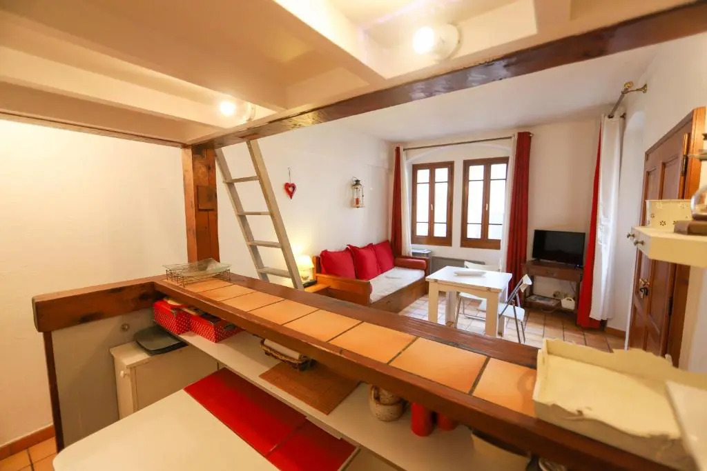 Le cocon du vieil Annecy, studio zone piétonne