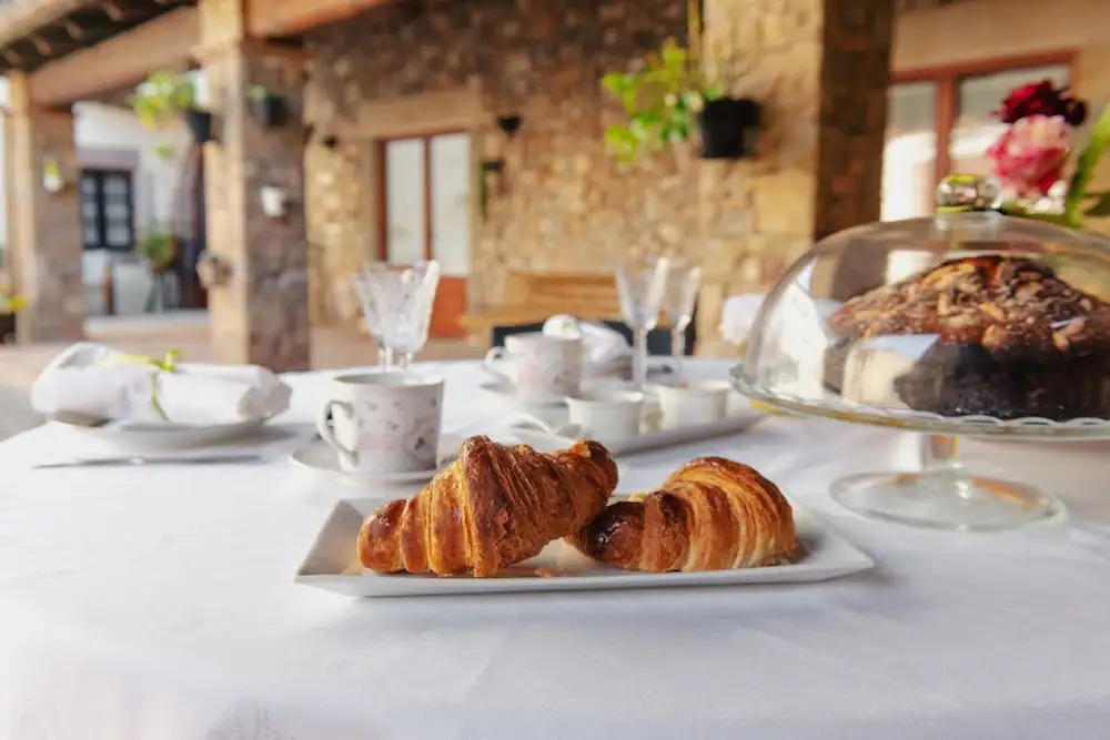 Masia Can Viver - Olive oil tourism B&B