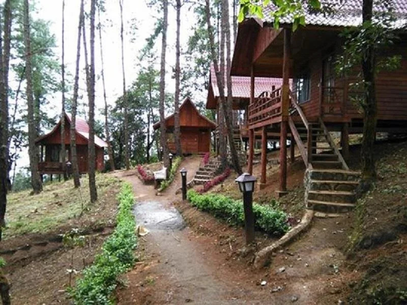 Pine Wood Villa