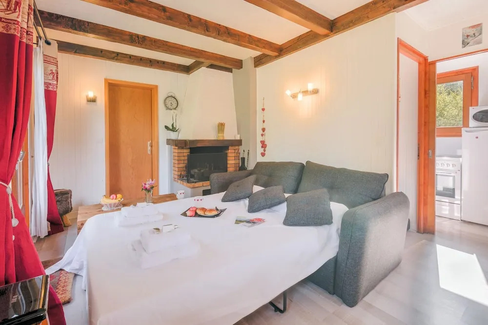 Chalet Le Petit Dru