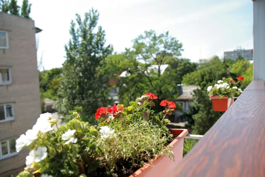 Lotos for You Apartments