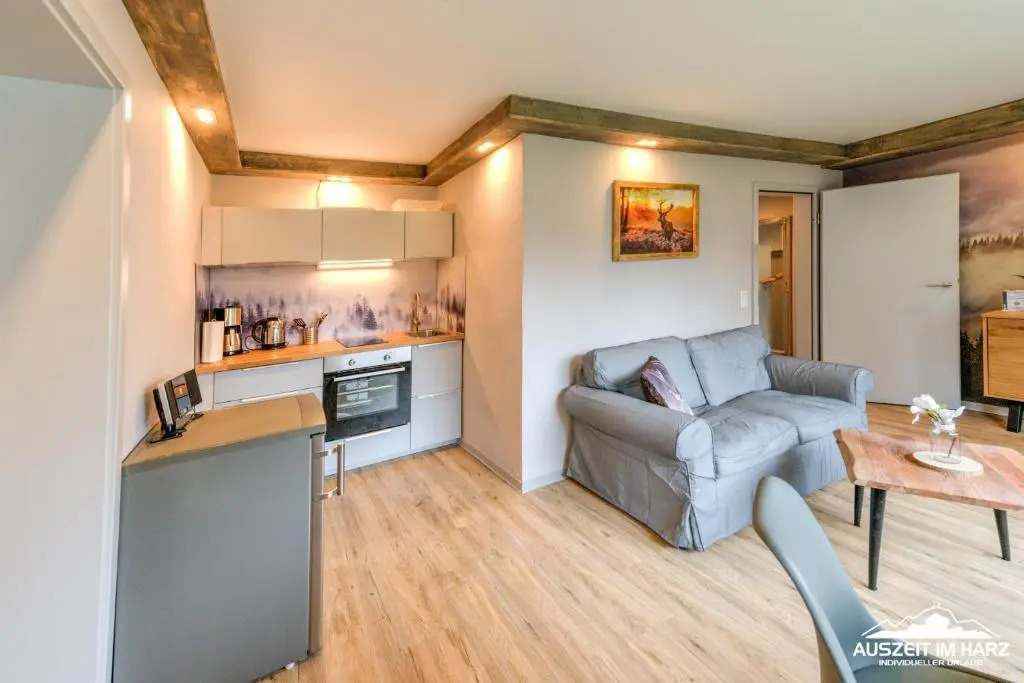 Auszeit im Harz Haus 3 Wohnung 6