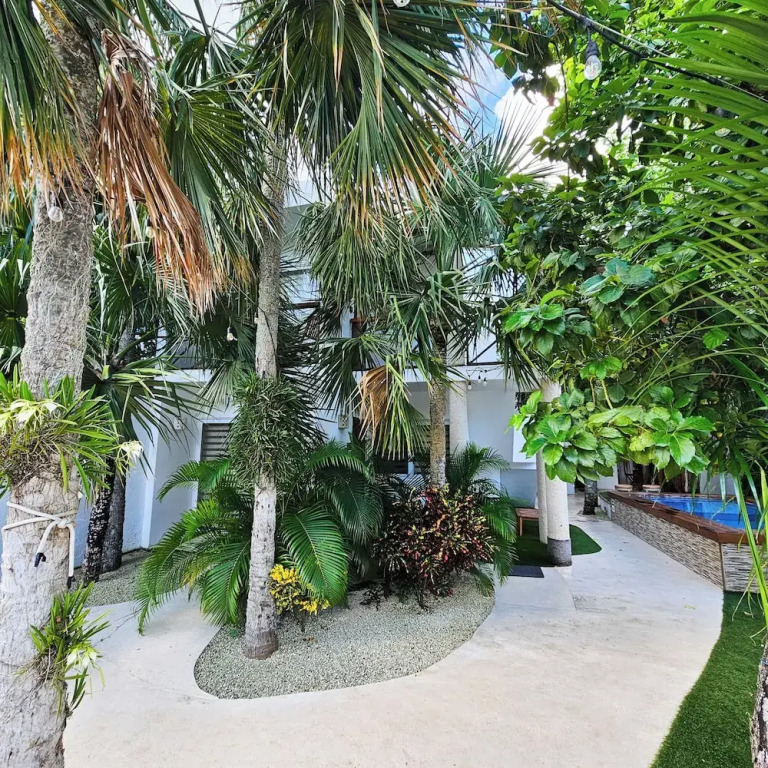 SAYU - Suites