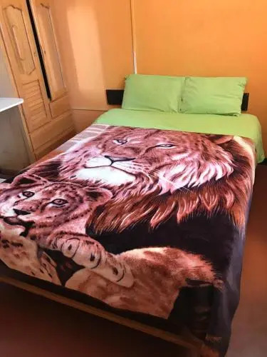 Tour Hostal Wanka