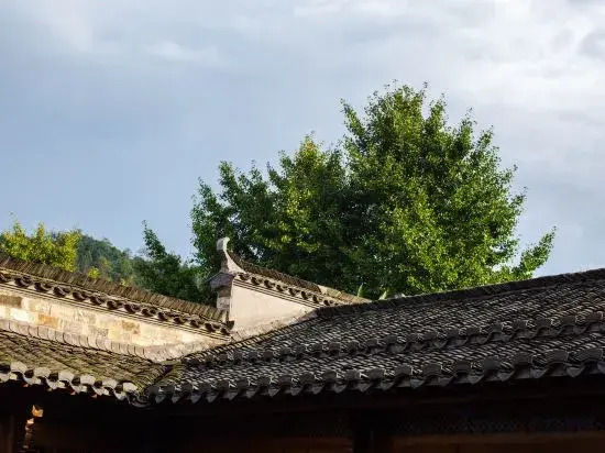 Liuzhu Dongyuan Boutique Hostel