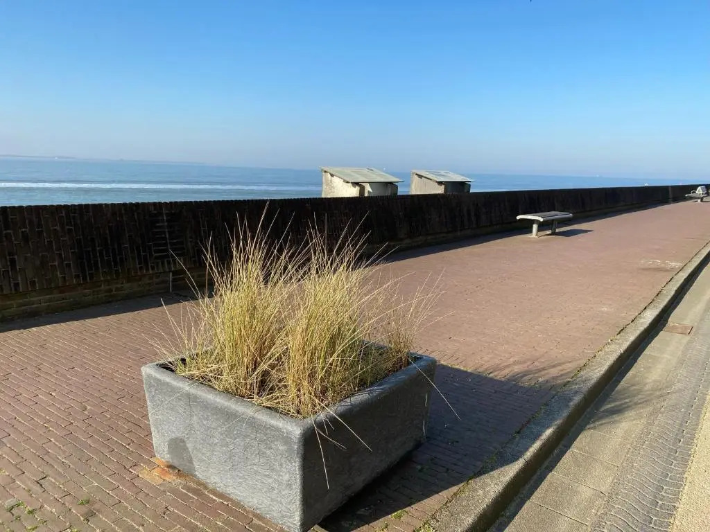 Belgische Loodsensociëteit