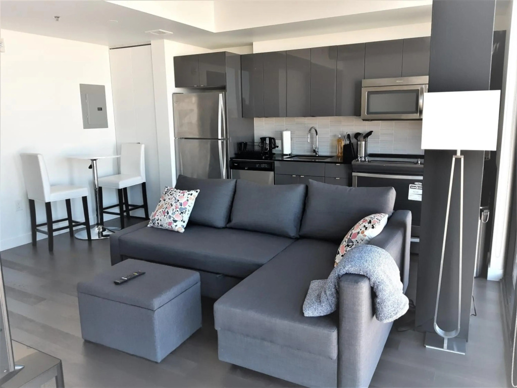 Cozy Skyline Entire Condo in Downtown, Across MTS